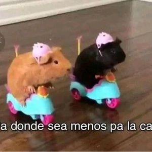 Meet your Posher, Karen